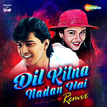 Dil Diwana cover