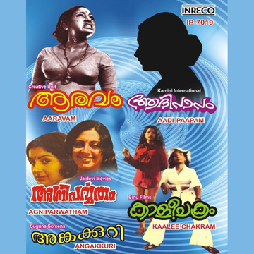 Kalaimagal Kai Porule cover