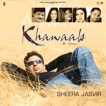 Punjaban cover