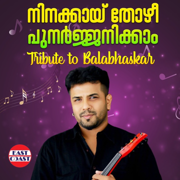 Lillipookkal cover