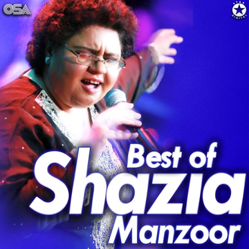 Chan Makhna The Mega Hits Album cover