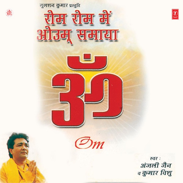 Mere Ram Aur Ramsetu cover