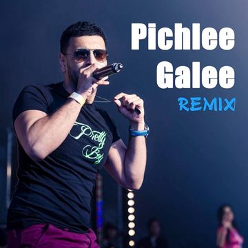 Pichlee Galee cover