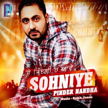 Punjabi cover