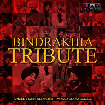 Bindrakhia Tribute cover