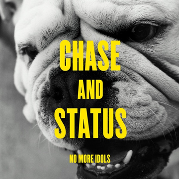 Chase cover