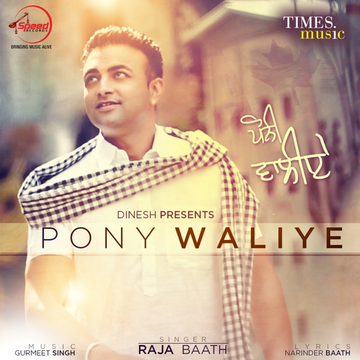 Pony Waliye cover