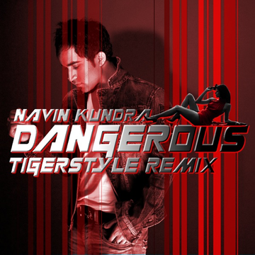 Dangerous (Tigerstyle Remix) cover