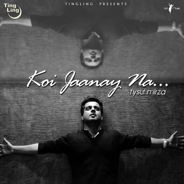 Koi Jannay Na cover