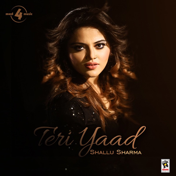 Teri Yaad  cover