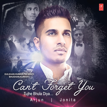 Cant Forget You (Tujhe Bhula Diya) cover