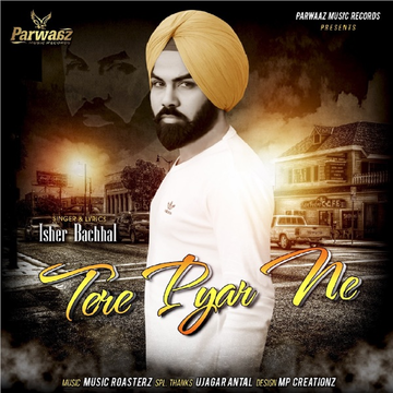 Tere Pyar Ne cover