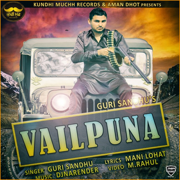 Vailpuna cover