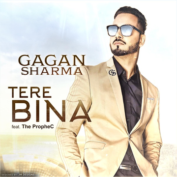 Tere Bina cover