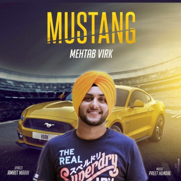 Mustang cover