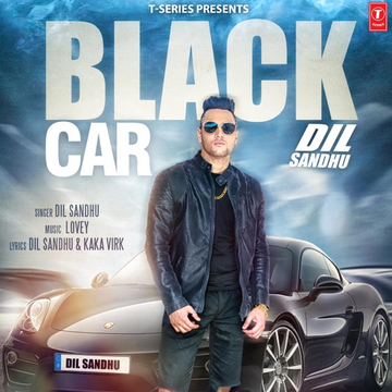 Black Car cover