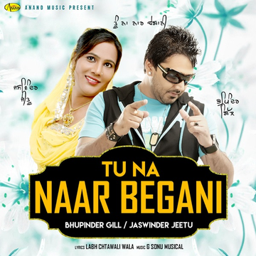 Tu Na Naar Begani cover