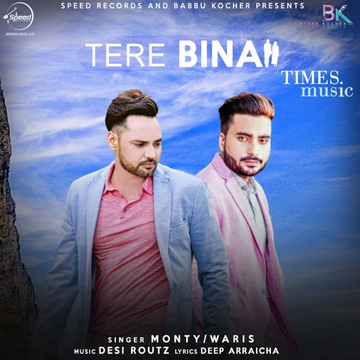 Tere Bina cover