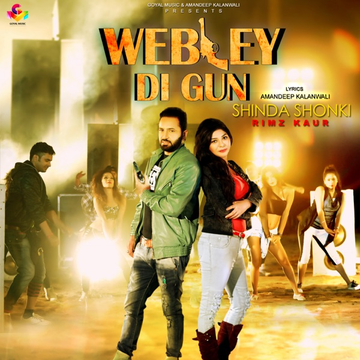 Webley Di Gun cover