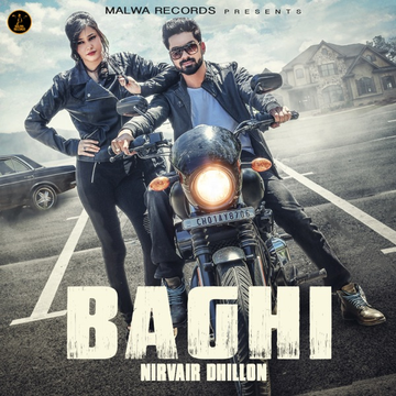 Baagi cover