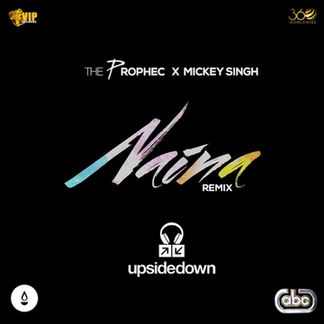 Naina (Upsidedown Remix) cover