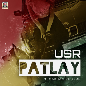 Patlay cover