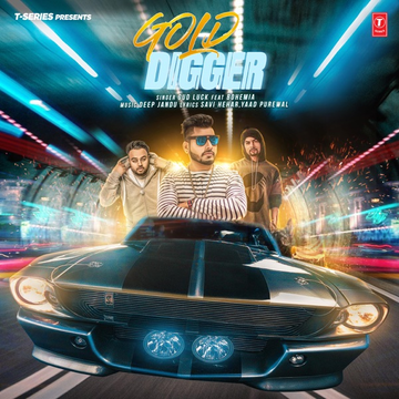 Gold Digger cover