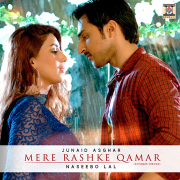 Dil Le Gayee (Redux) cover