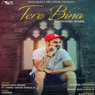 Tere Bina cover