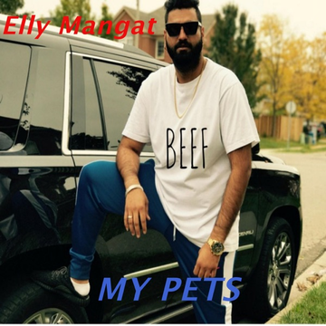 My Pets cover