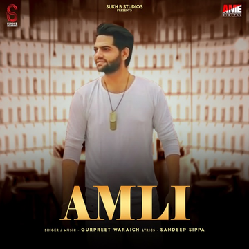 Amli cover