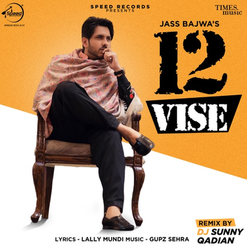 12 Vise cover