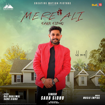 Mere Ali cover