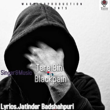 Tere Bin cover