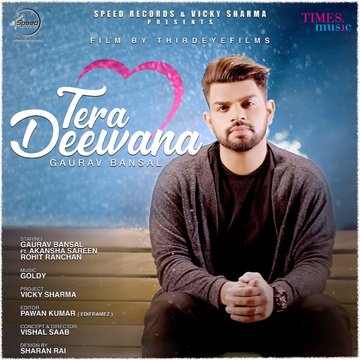 Tera Deewana cover