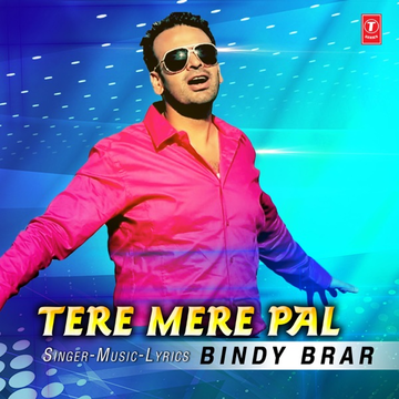 Tere Mere Pal cover