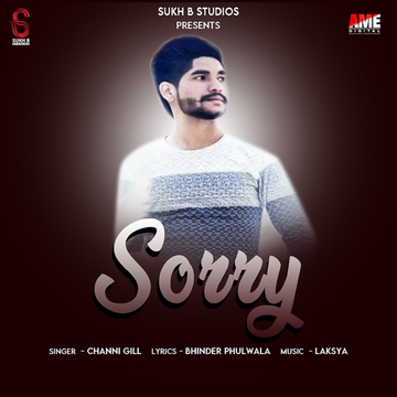 Sorry cover