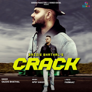 Crack cover