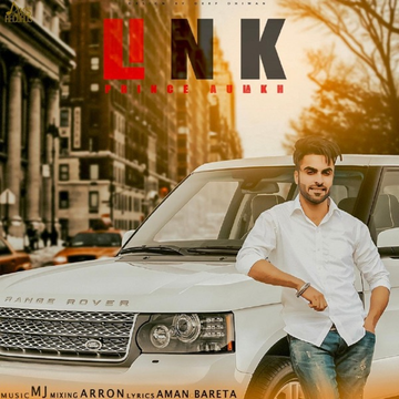 Link cover