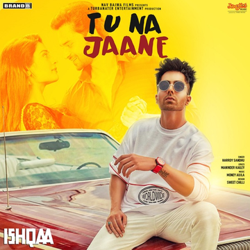 Tu Na Jaane (Ishqaa) cover
