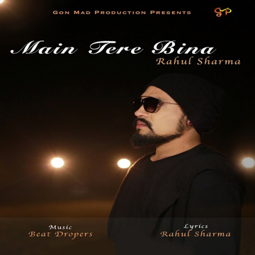 Main Tere Bina cover