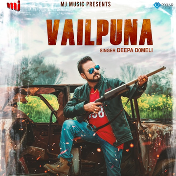 Vailpuna cover