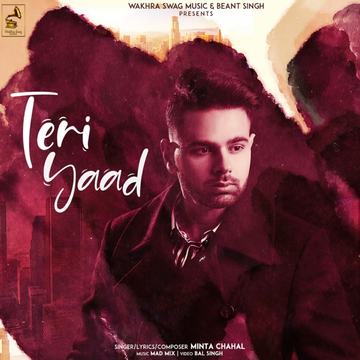 Teri Yaad cover