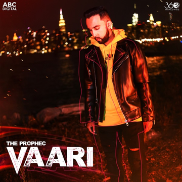 Vaari cover