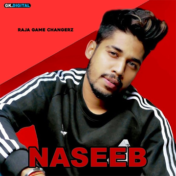 Naseeb cover