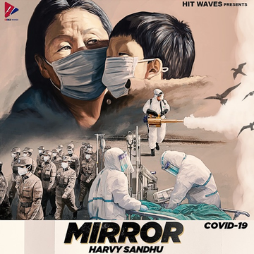 Mirror cover