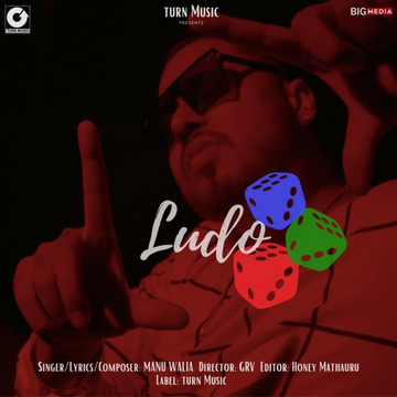 Ludo cover