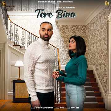 Tere Bina cover