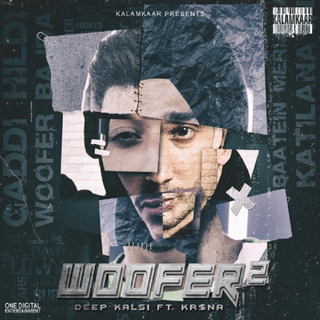 Woofer 2 cover