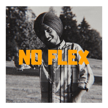 No Flex cover